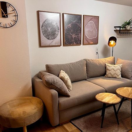 Апартаменты Main Cozy Casa Am Ringpark Free Parking Вюрцбург Экстерьер фото